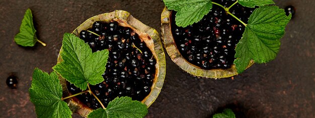 Banner of Blackcurrant berries with leaves, black currant