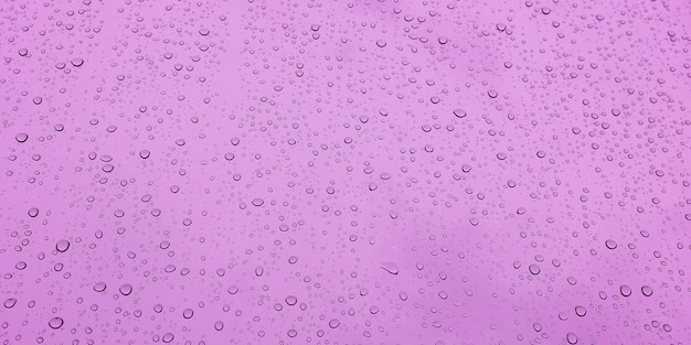 Banner of a drop of water on glass in a pink glow. space for text.
