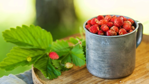 Banner forest strawberries in a metal cup on wooden tray