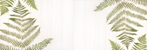 Banner green fern leaves on white wooden table