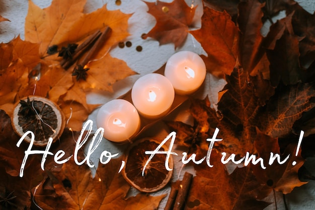 Photo banner hello autumn cozy vibes a new season autumn leaves an article about autumn