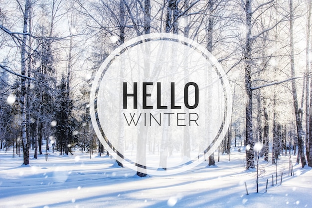 Banner Hello winter . The picture of Hello winter. New season. Nature. Winter landscape. Landscape with text.