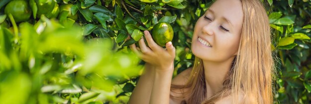 Banner long format portrait of attractive farmer woman is harvesting orange in organic farm cheerful