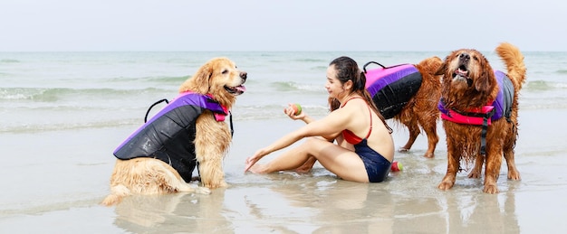 Banner Love-moment van Golden retriever-hond in reddingsvest bal spelen op strand met meisje