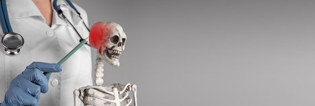 Foto banner met doktershand wijzend naar skeletschedel met rode punt neuralgie hoofdpijn skelet anatomie medisch onderwijsconcept kopieer ruimte