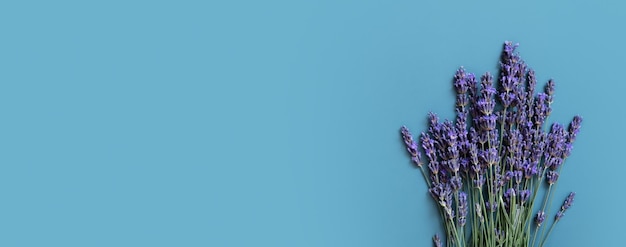 Foto banner met lavendel bloemen op gekleurde achtergrond bovenaanzicht kopieer ruimte