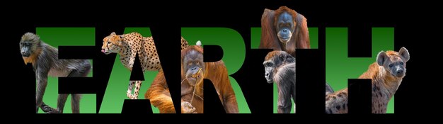 Banner met portret van de meest bedreigde dieren orang-oetan cheetah gorilla mandrill en hyena ingebed in geschreven aarde tekst als achtergrond close-up details