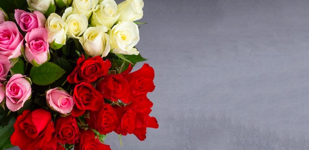 Banner of Roses in different colors with copy space