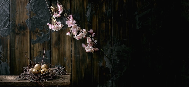 Banner size Easter dark rustic still life with quail eggs in nest and blooming cherry branch. Dark wooden wall. Easter holiday time. Copy space