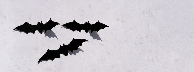 Banner. Trendy minimalistic concrete background for the Halloween holiday. Boo word. Black bat