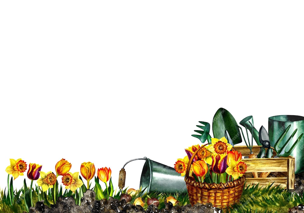 Premium Photo | Banner with garden tools and spring flowers hand watercolor