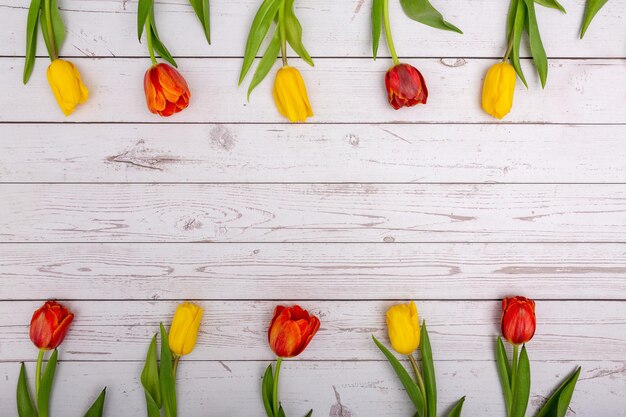 A banner with yellow and red tulips spread out in a row from above and below Background with a place for text