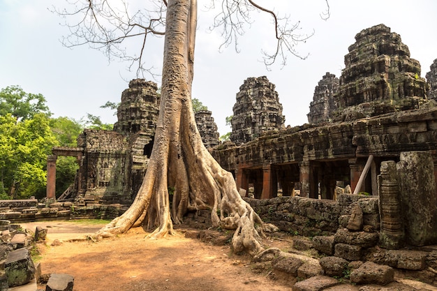 Tempio di banteay kdei a angkor wat, in cambogia