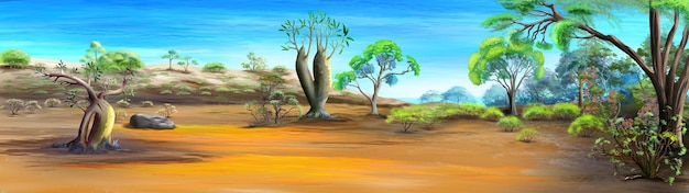 Baobab e alberi di acacia nella savana