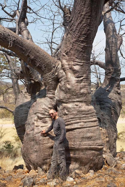 Foto baobab