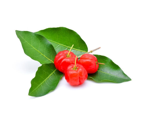 Barbados cherry,Ripe thai cherry