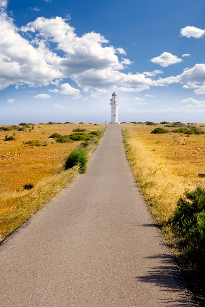 Foto barbaria berberia kaap vuurtoren formentera weide