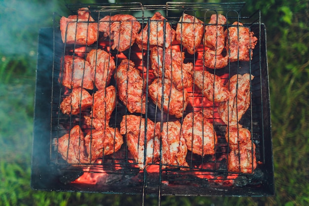 串焼きバーベキューグリル。草の上に置いた。