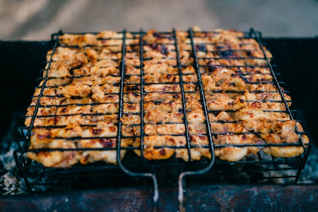 Barbecue Meat on the grill on the coals