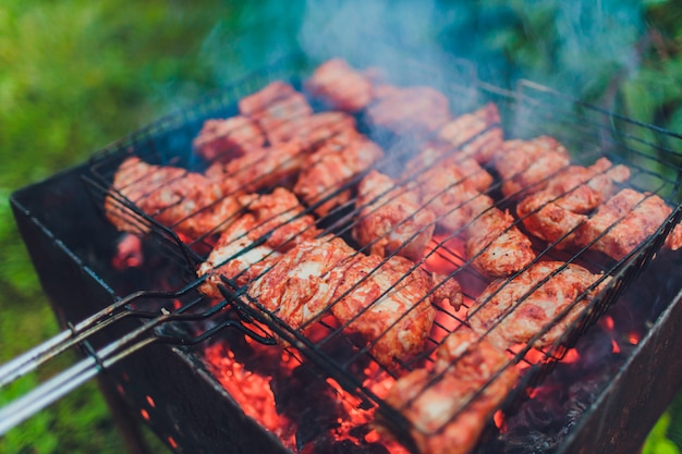 Barbecue met spiesjes. geplaatst op gras.