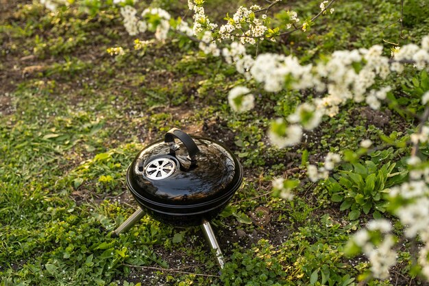 Barbecue op de natuur, buiten, close-up.