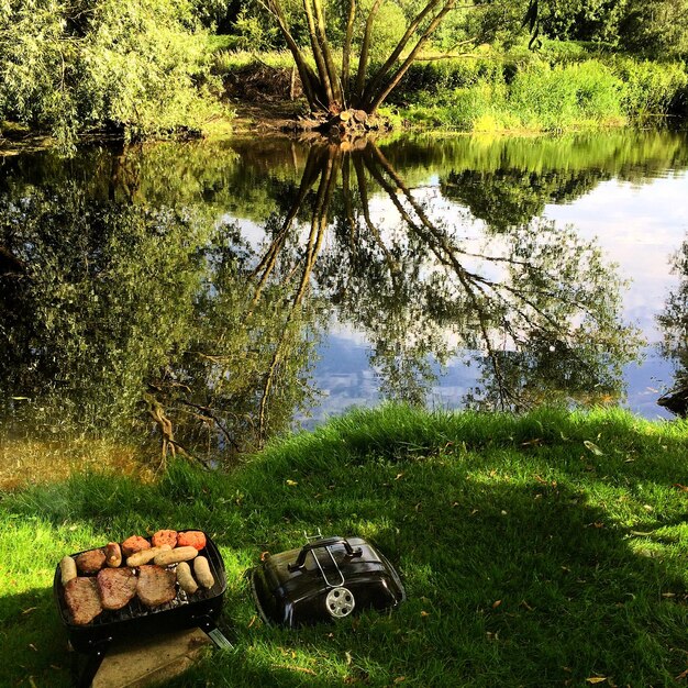 Foto barbecue op een grasveld bij het meer met reflectie tegen bomen