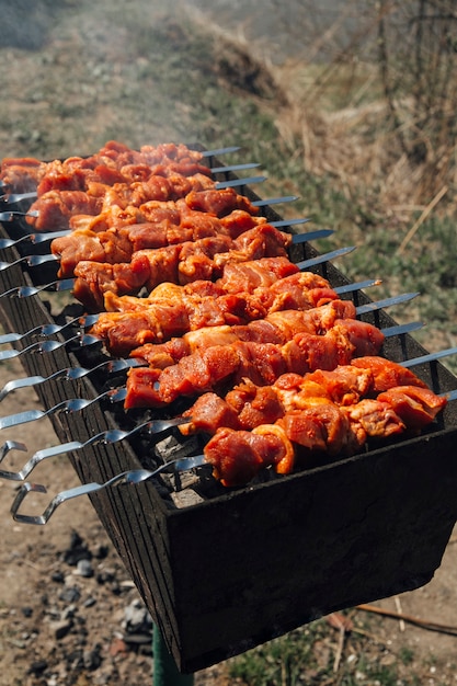 barbecue on skewers on the grill