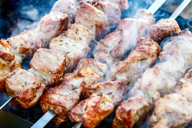 Barbecue skewers with meat