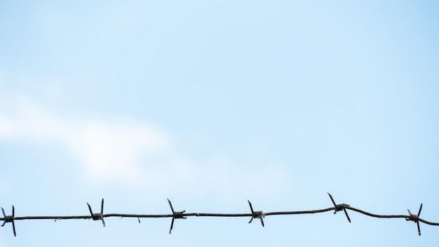 Barbed wire against the sky A security fence on the territory of a prison or airport Ways to protect your property