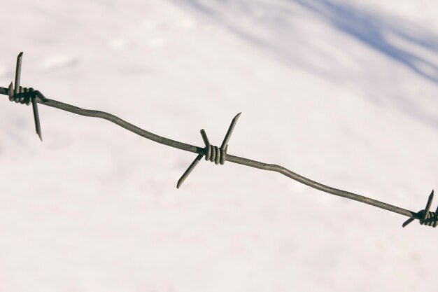 Barbed wire on a background of snow. Close-up