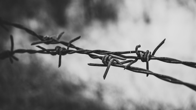 Barbed wire. Barbed wire on fence to feel worrying Concept