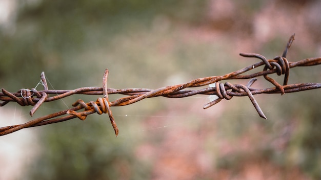 Photo barbed wire. barbed wire on fence to