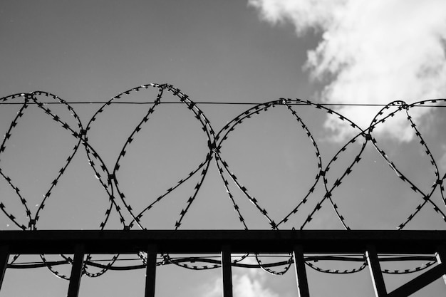 Колючая проволока на черно-белом заборе Забор на границе страны Охраняемая территория с колючей проволокой