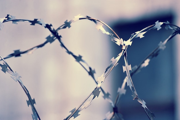 Barbed wire on blurred abstract background