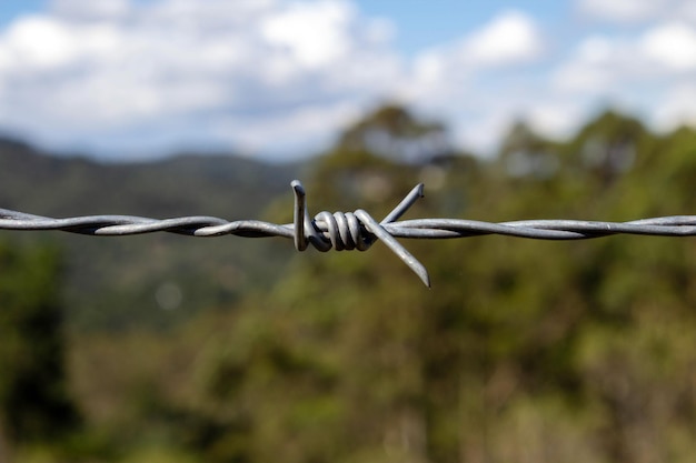 Barbed wire. Blurred background, selective focus