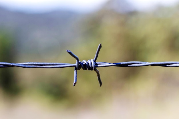 Barbed wire. Blurred background, selective focus