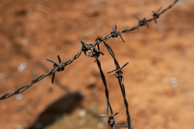 Barbed wire close up