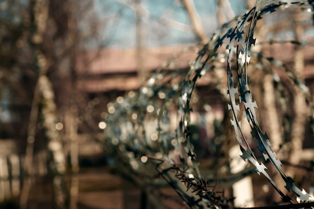 Barbed wire close-up