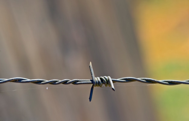 Barbed wire closeup