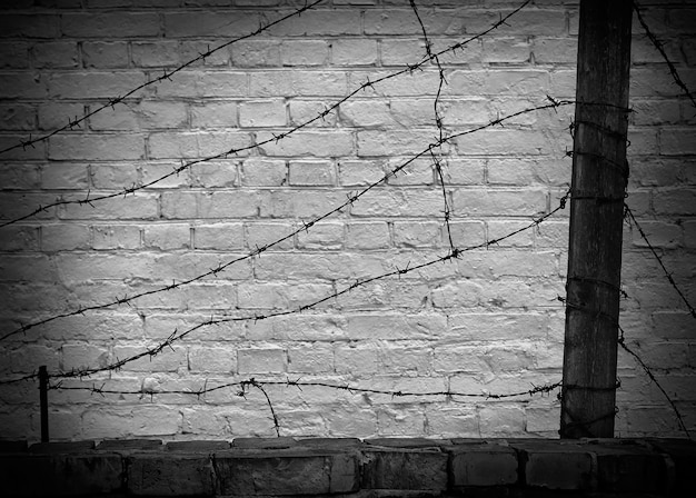 barbed wire on a dark brick wall