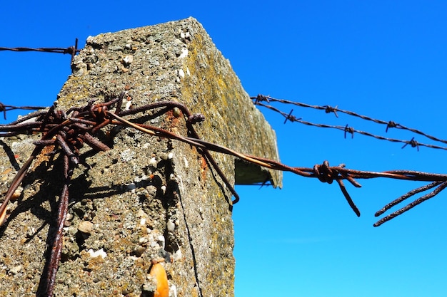 Barbed wire double wire metal tape with sharp spikes for
barriers rusty barbed wire against the blue sky the concept of war
restriction of rights and freedoms concrete pillar