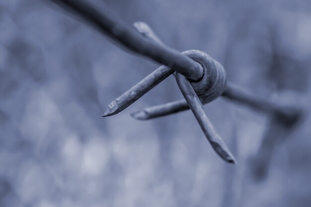 Barbed wire element close up toned photo