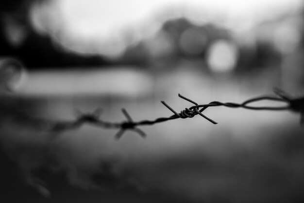 Barbed wire fence in black and white process blurred background