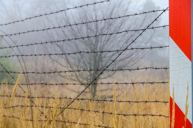 Barbed wire fence at the Chernobyl exclusion zone Ukraine