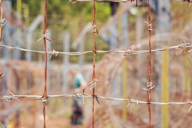 Barbed wire a fence in prison and the silhouette of a prison guard on the background