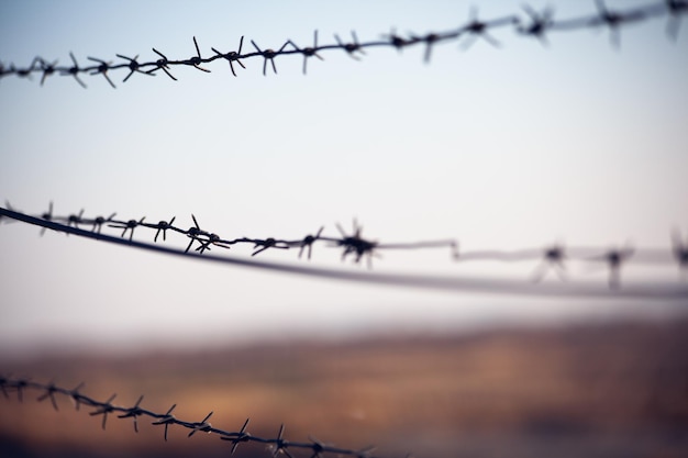 A barbed wire fence at sunset