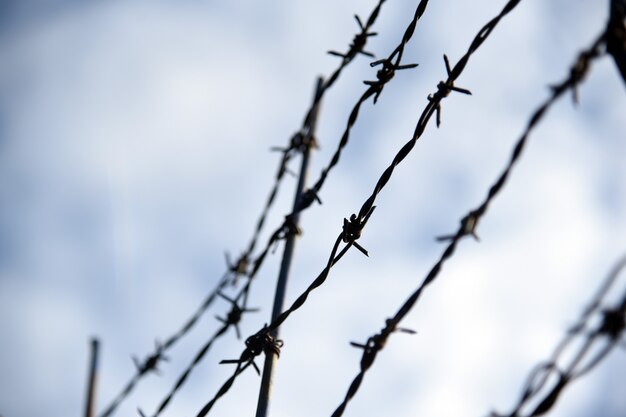 Photo barbed wire on fence with blue sky