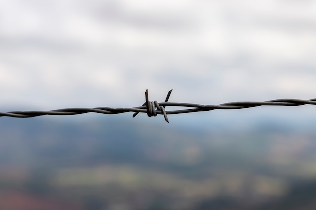 Barbed wire fence with blurred nature background. selective focus