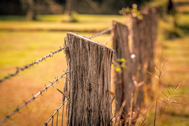 日当たりの良い田園地帯に木の支柱を持つ有刺鉄線のフェンス