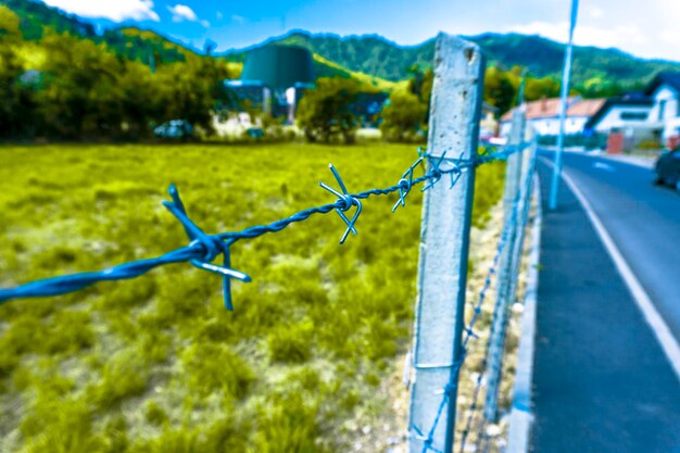 Barbed wire fence